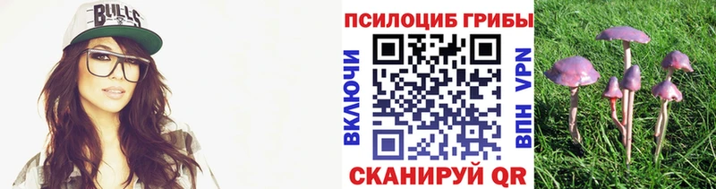 Псилоцибиновые грибы мицелий  Купить где  Мглин 